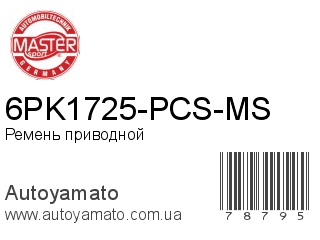 6PK1725-PCS-MS (MASTER SPORT)